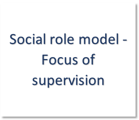 social roles model - F