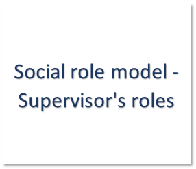 social roles model - S